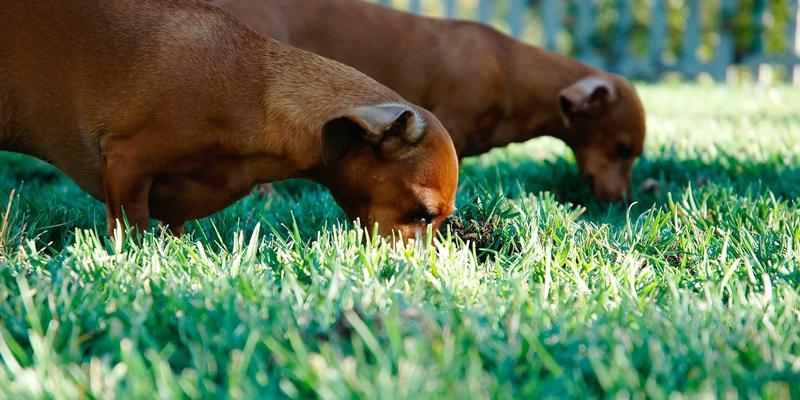 精密制造背后的力量：解析南京浩顺隆如何以供应链优势赋能工业设备与自动化产业