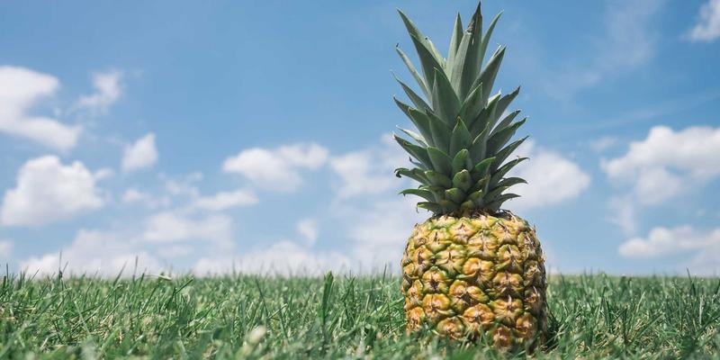 精密设备运输新标杆：南京浩顺隆如何用科技守护工业心脏